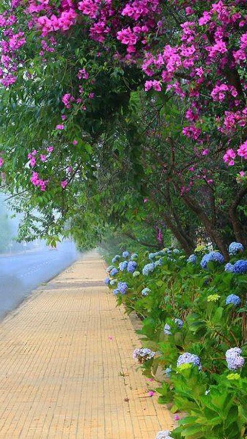 Hostel Phuong Nga Dalat Luaran gambar